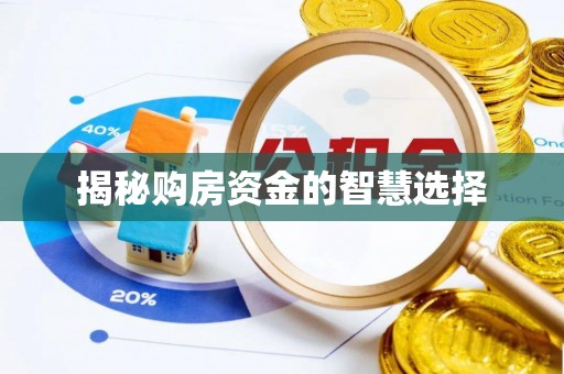 租赁揭秘购房资金的智慧选择