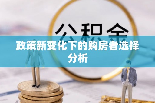 租赁政策新变化下的购房者选择分析