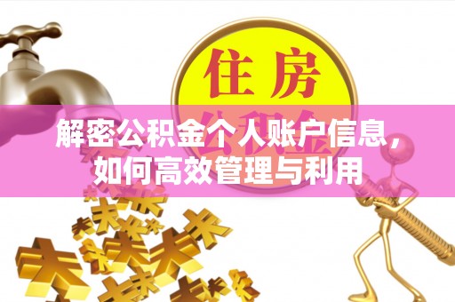 租赁解密公积金个人账户信息，如何高效管理与利用