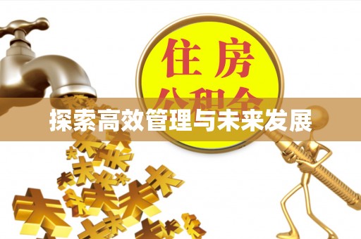 租赁探索高效管理与未来发展