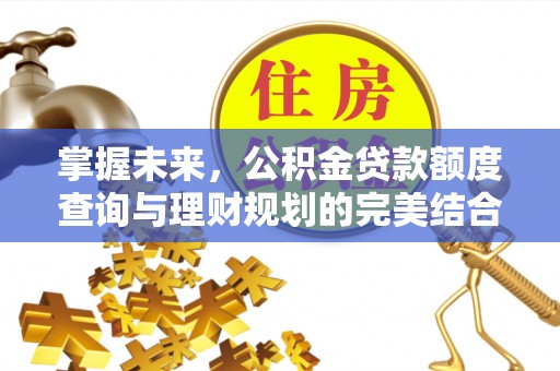 租赁掌握未来，公积金贷款额度查询与理财规划的完美结合