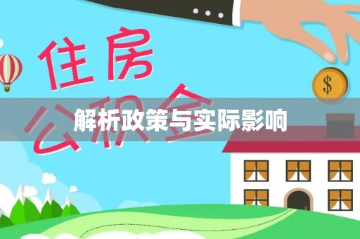 租赁解析政策与实际影响
