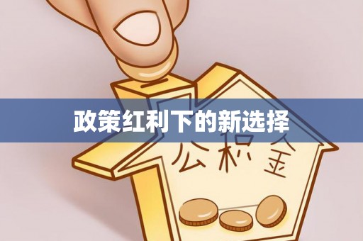 租赁政策红利下的新选择
