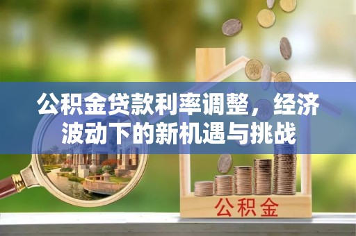 租赁公积金贷款利率调整，经济波动下的新机遇与挑战