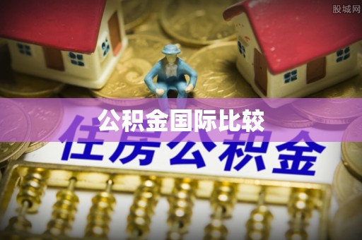 租赁公积金国际比较