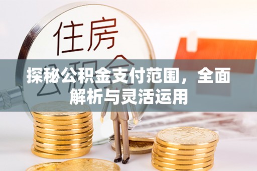 租赁探秘公积金支付范围，全面解析与灵活运用