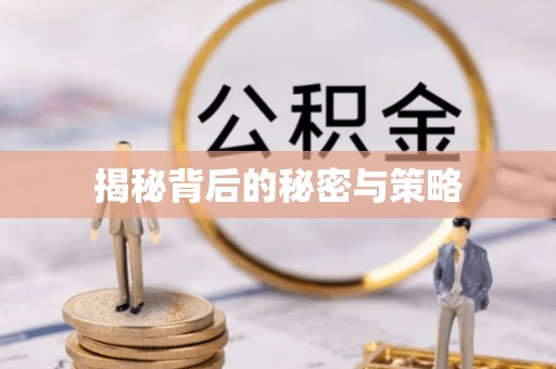 租赁揭秘背后的秘密与策略