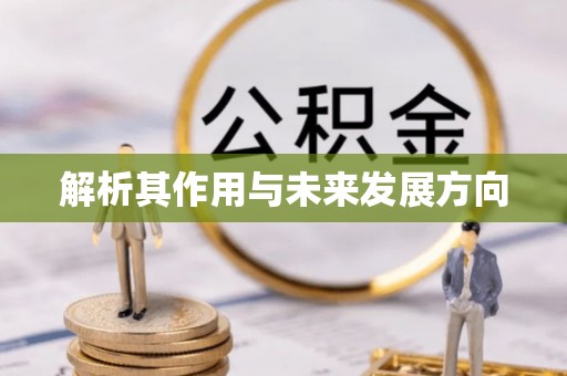 租赁解析其作用与未来发展方向