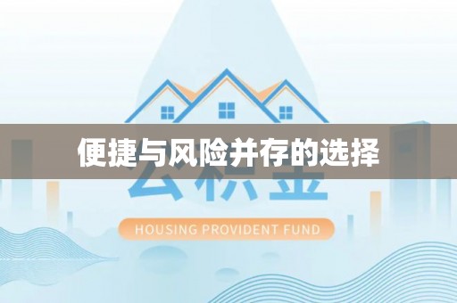 租赁便捷与风险并存的选择
